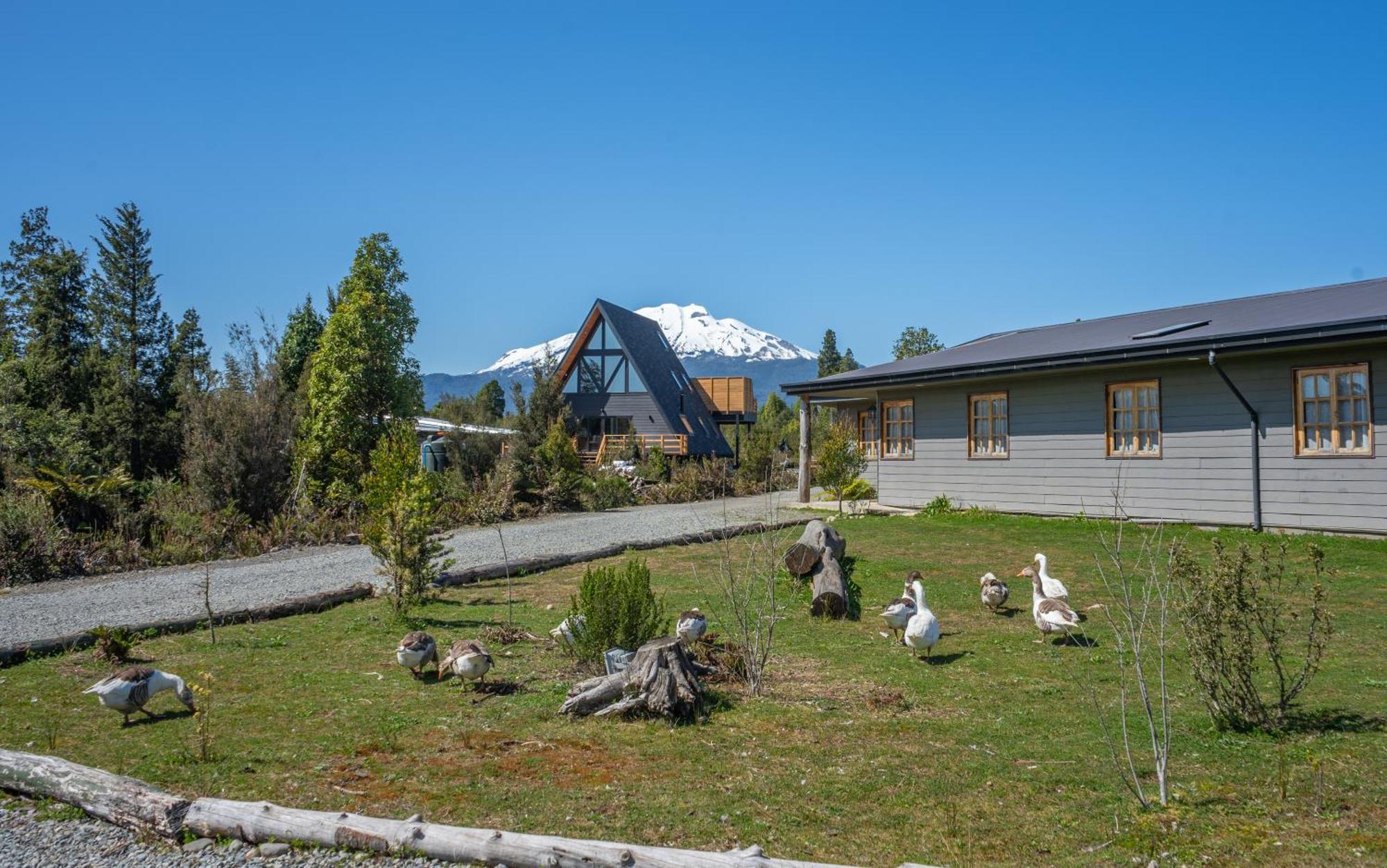 Parque la Pajarera Hotel Puerto Varas Exterior foto